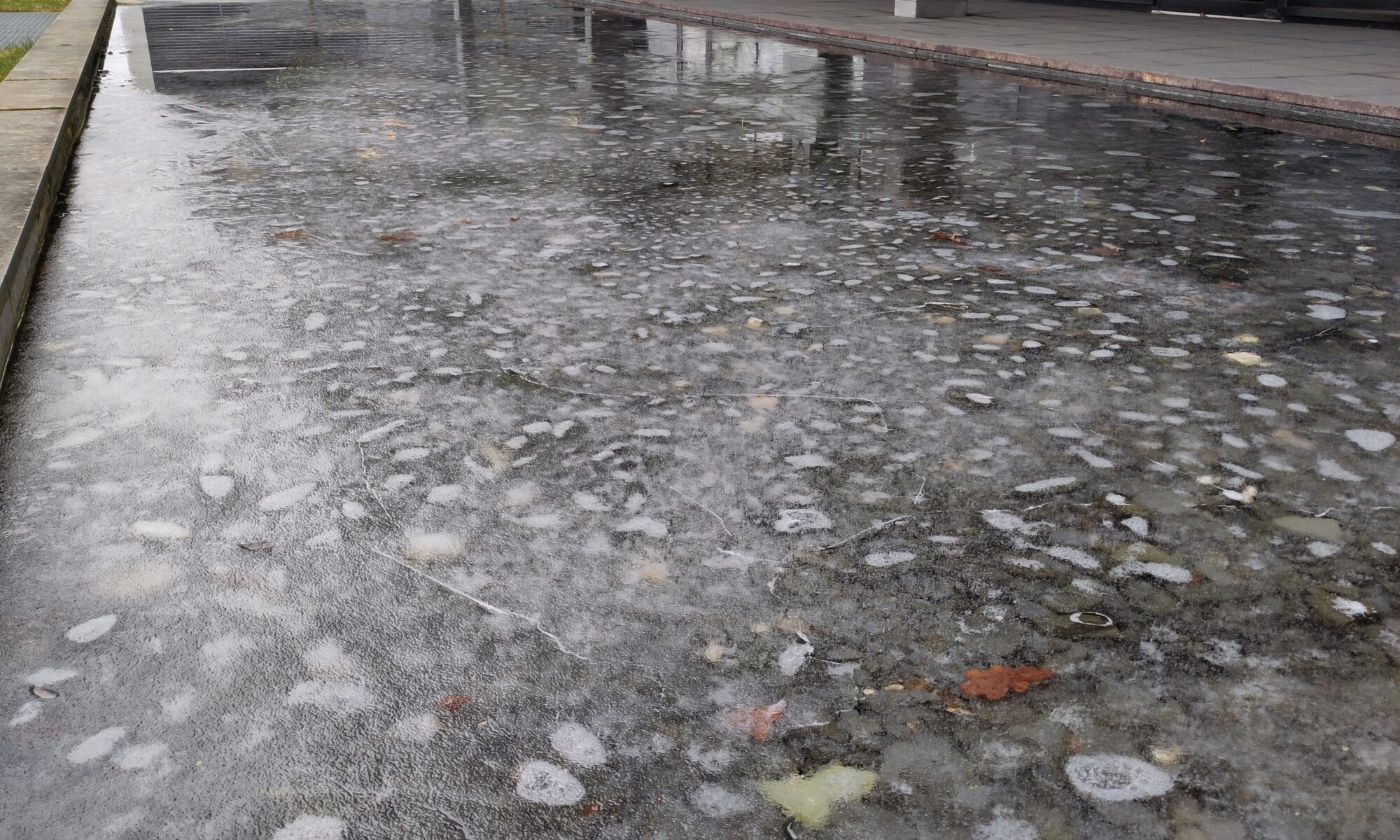 Frozen water in standing water by the business park in Eysins